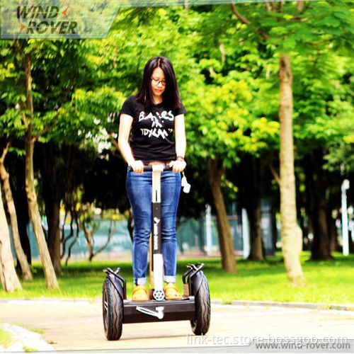 Nice Mobility Scooter with 2wheel Stand up Scooter